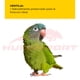 thumbnail image 4 of Alimento para Loro Kaytee Forti-Diet 1.81 Kg, 4 of 5