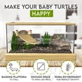 thumbnail image 3 of Turtle Aquarium Kit Series - New - Aquatic Turtle Tank with Filter and Light + Turtle Basking Platform, Small Turtle Tank for Baby & Juvenile Turtle, Perfect Turtle Starter Kit for Kids, 3 of 14
