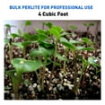 thumbnail image 5 of EasyGo Products Supreme Perlite Coarse Grade Soil, 4 cu ft., 4 Pack, 5 of 8