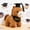 Coffee, variant on Graduation Season Plush Pony, Soft Stuffed Horse Doll with PhD Cap, Cute Collectible Animal for Home Office Decor Gift, 11.02 Inches
