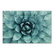 Creative Products Agave 3 48x32 Canvas Wall Art