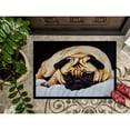 thumbnail image 3 of Carolines Treasures AMB1194JMAT Fred the Pug Door Mat Indoor Rug or Outdoor Welcome Mat 24x36 Doormat  36"L x 24"W, 3 of 4