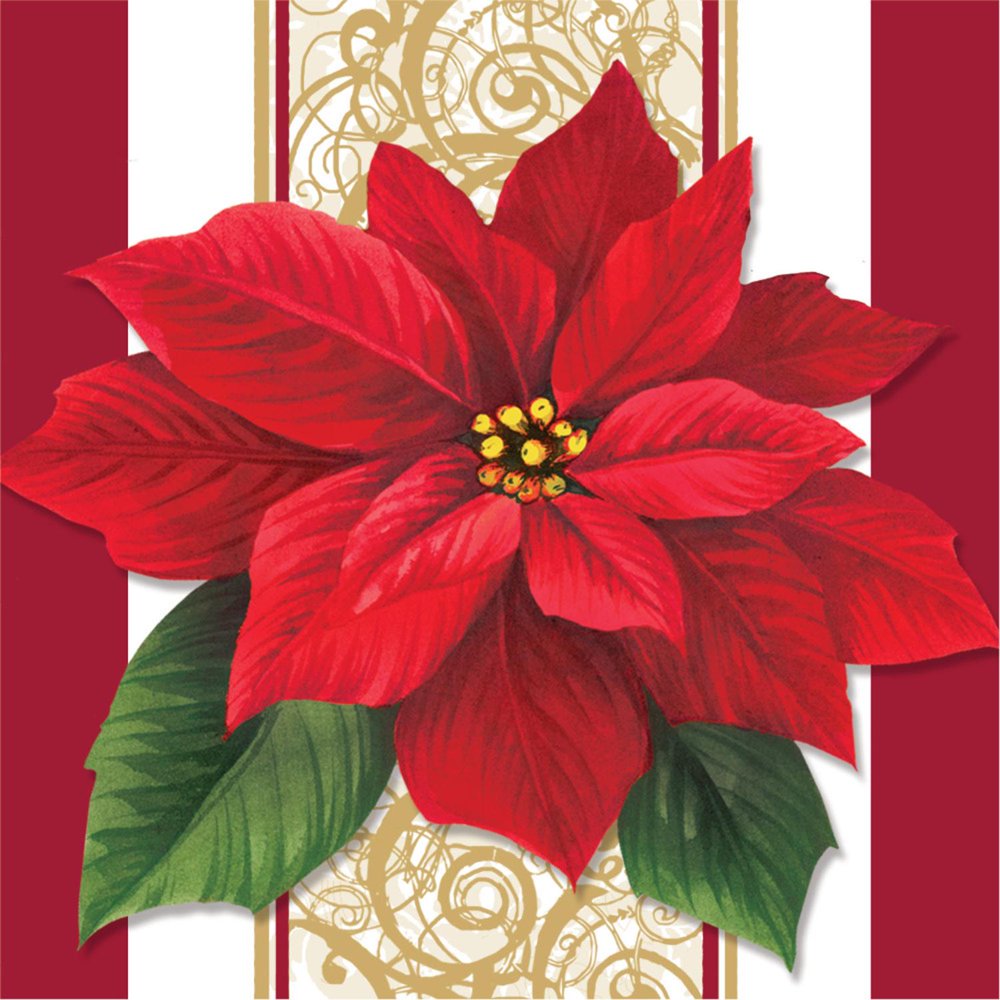 Club Pack of 192 Poinsettia Lace Christmas Holiday Disposable Paper