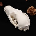thumbnail image 4 of Advancent Réplica realista de calavera de resina, modelo de hueso de zorro salvaje, esculturas decorativas de animales, estilo gótico para el hogar, Decoración Advancent HA011087-00B, 4 of 6