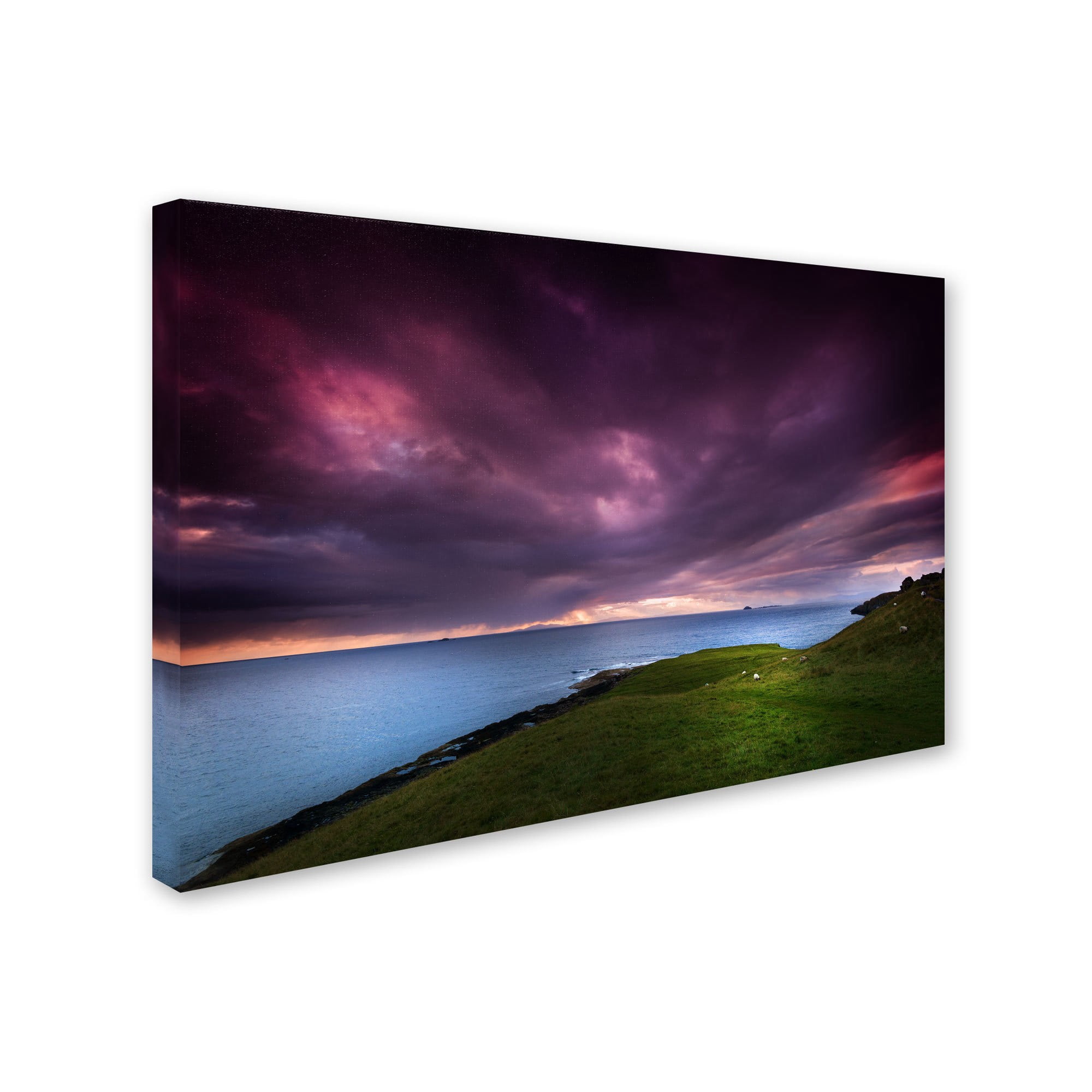 "Scottish Colors" Canvas Art by Philippe Sainte-Laudy