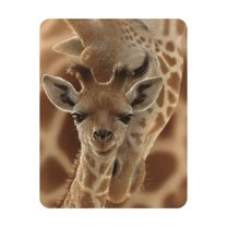 3D LiveLife Magnet - Newborn Giraffe Lenticular 3D Fridge Magnet by Deluxebase, Art by Collin Bogle