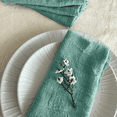 thumbnail image 2 of 8 Pack de servilletas de tela individual para mesa, de lino 100% algodón MACAR  Servilletas de tela menta, 2 of 5