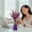 B, variant on Air Freshener Spray for Home and Car with Long Lasting Fragrance, Eliminates Odors in Bathroom, Bedroom, and Living Room, Refreshing Scent for Indoor Spaces