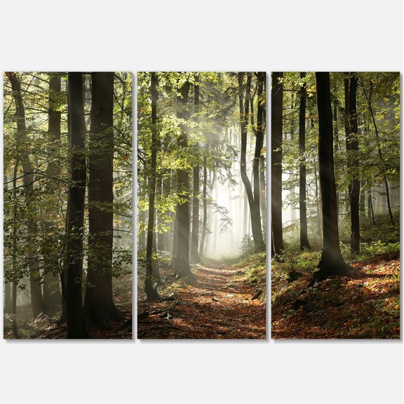 Designart 'Green Fall Forest with Sun Rays ' Landscape Photography Canvas Print