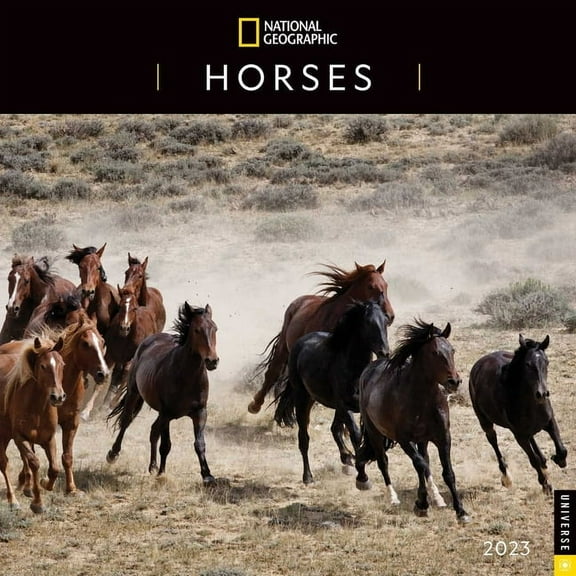 National Geographic: Horses 2023 Wall Calendar (Calendar)