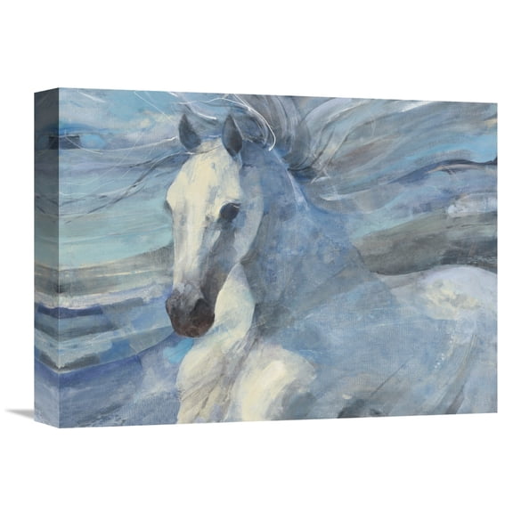 Global Gallery Albena Hristova 'Poseidon Indigo Crop' Canvas Wall Art