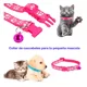 thumbnail image 4 of Collar Para Perro Con Cascabeles Raza Pequeña Y Gatos 36 Pcs, 4 of 8