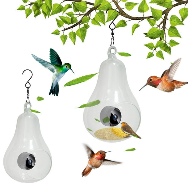 Fiudx Cámara para Comedero de Pájaros, Visión Nocturna Hd 1080P con Wifi, Avistamiento de Aves a Distancia, Batería Recargable, Fotografía de Aves Al Aire Libre, Regalo Familiar, Fácil Instalación