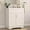 Pure White Finish, variant on Bathroom Vanity with Ceramic Sink, 32 Inch Double Door Bathroom Cabinet Vanity with Wooden Frame and Storage, White