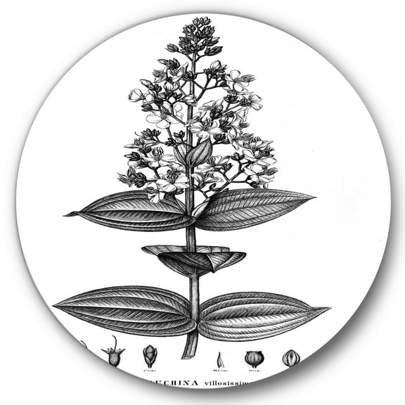 Designart 'Ancient American Flora VI' Traditional Circle Metal Wall Art 36x36 - Disc of 36