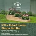 thumbnail image 2 of All Things Cedar 3-Tier Raised Garden Planter Bed Box, Western Red Cedar Build, 2 of 7