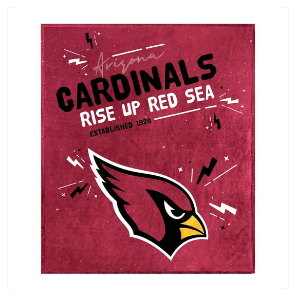 Logo Brands Arizona Cardinals 60" x 70" Plush Throw Blanket