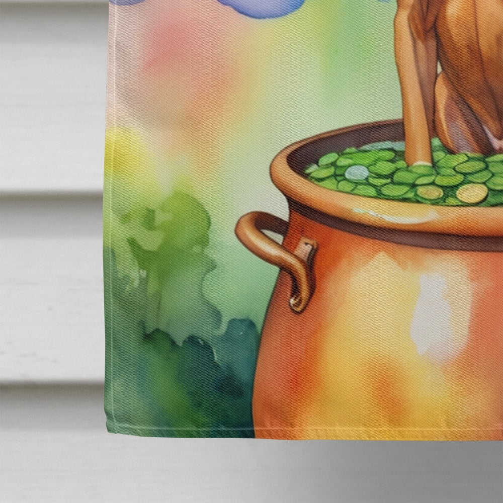 Rhodesian Ridgeback St Patricks Day House Flag