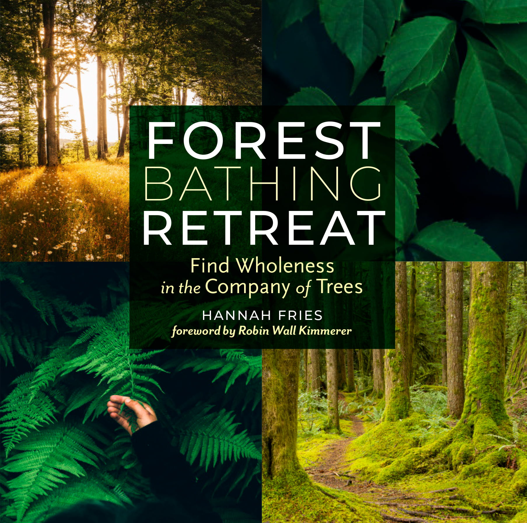 Forest Bathing Retreat - Paperback - Walmart.com