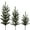 Green, variant on Vickerman 24"/30"/36"Deluxe Artificial Spruce Tops - PE/PVC Style - Green