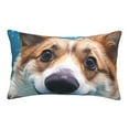 thumbnail image 3 of Salouo Sea Swimming Corgi Print Print Pillow Case Cover,Wrinkle-Free Bed Pillow Cover Pack of 1 Home Decor Fade-Resistant and Stain-Resistant ,Pillows Not Included -16"x24", 3 of 8