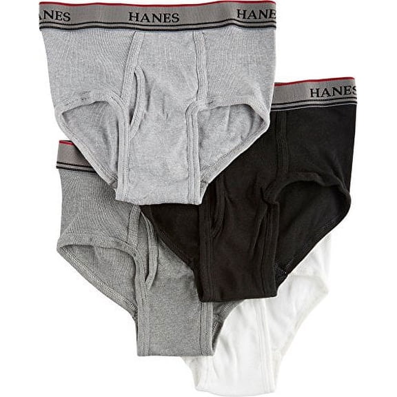 Hanes Boys 4-pk. Tagless Platinum Briefs, White/grey/black, Small (4)