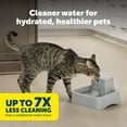 thumbnail image 3 of PetSafe Oasys 1/2 Gallon Pet Fountain, Dog and Cat Automatic Water Bowl - For Small Pets, 3 of 8