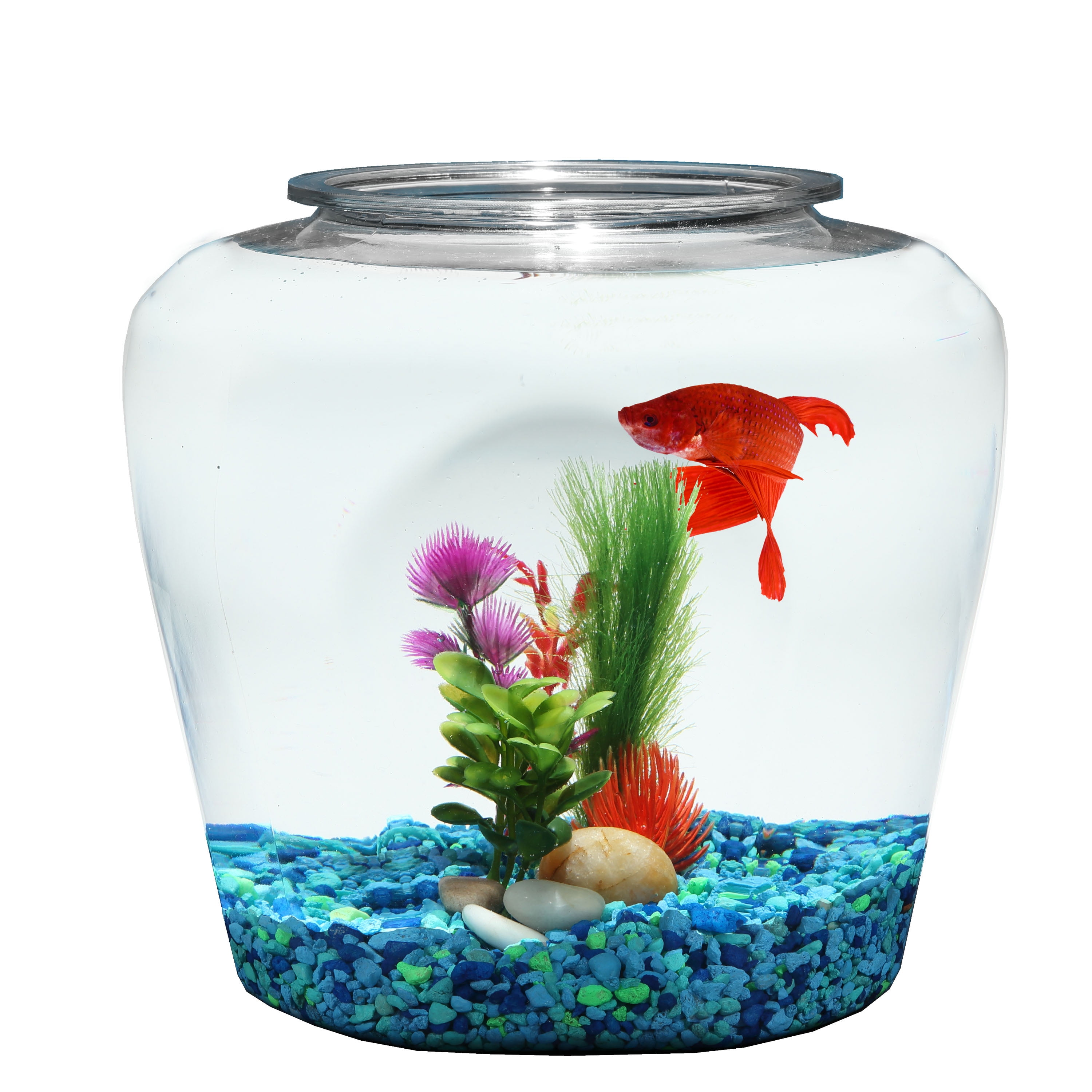 2-gallon fish bowl is perfect for your favorite betta or fill with fresh fl...