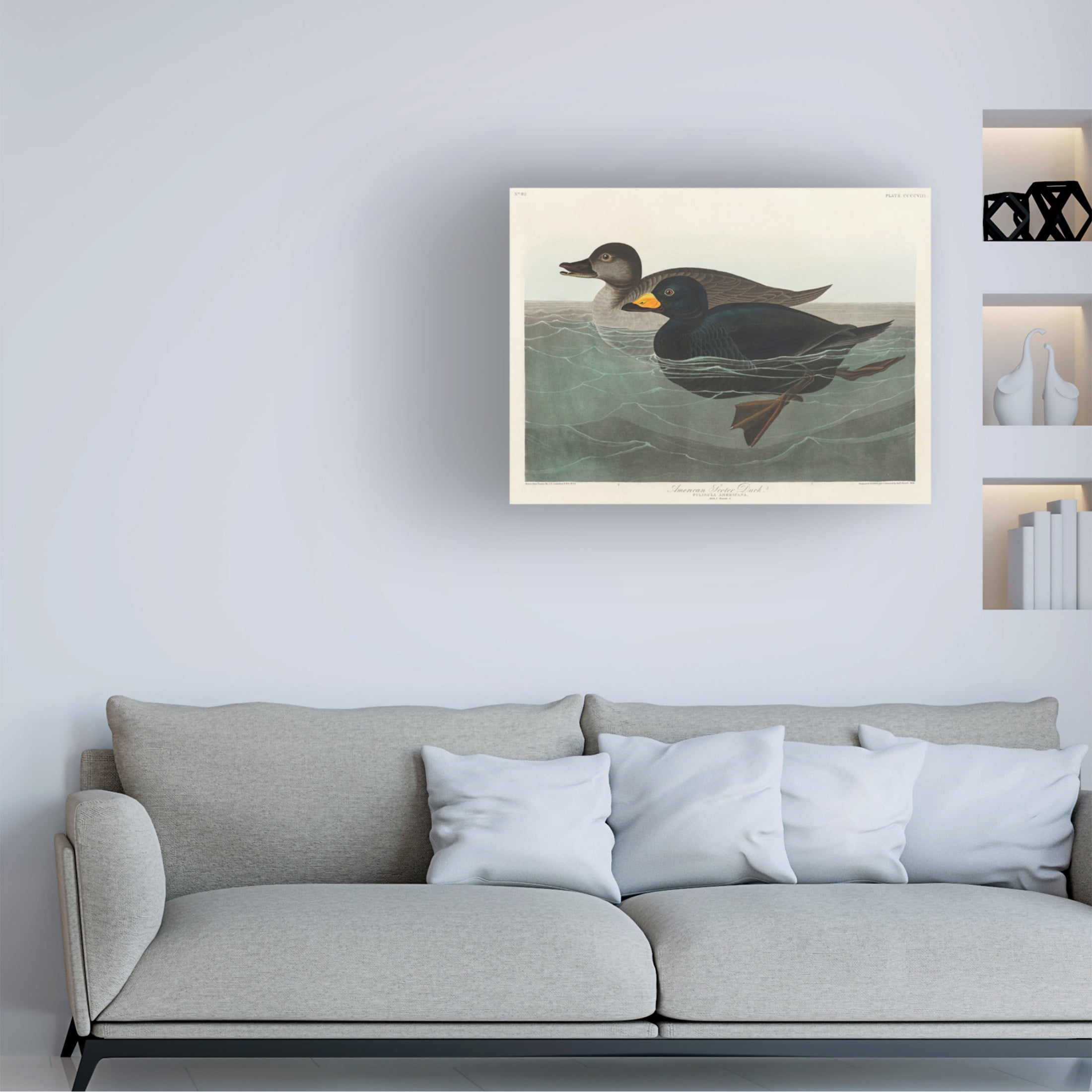 Trademark Fine Art Pictufy   American Scoter Duck From Birds of America 1827 Canvas Wall Art