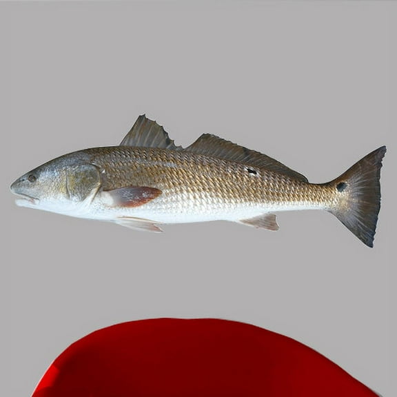 Wallhogs Fish I Cutout Wall Decal