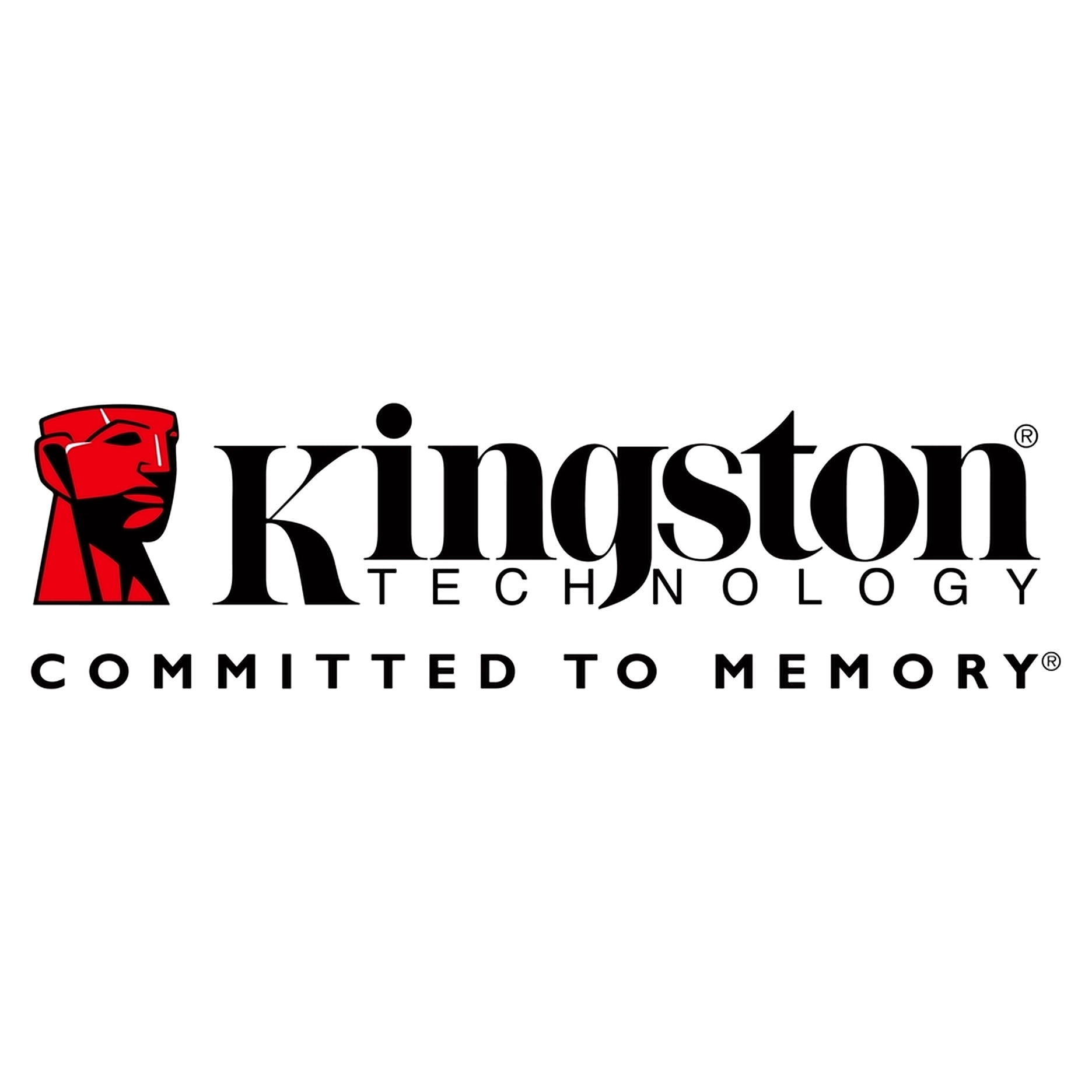 Kingston XS1000 1 TB Portable Solid State Drive External Red SXS1000R1000G