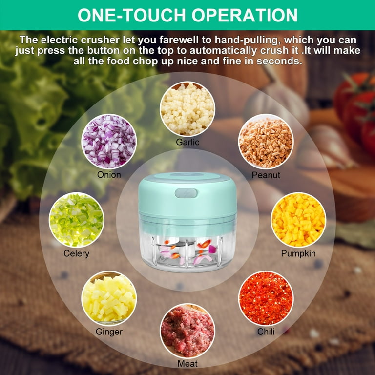 Lychee Electric Garlic Chopper Portable Food Processor Small Rechargeble Mini Garlic Mincer for Dicing, Ginger, Chili, Fruits, Onions Pepper and Baby