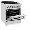 thumbnail image 5 of ZLINE 24" 2.8 cu. ft. Dual Fuel Range with Gas Stove and Electric Oven in Fingerprint Resistant Stainless Steel and Blue Gloss Door (RAS-BG-24), 5 of 21