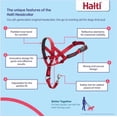 thumbnail image 2 of Halti Nylon Padded No Pull Dog Headcollar, Red, Size 2, 2 of 5