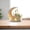 C, variant on Mose Festival Moon Side Acrylic Tabletop Decoration Elegant, Durable, Versatile for Home Decor, Ideal Gift, Easy to Style