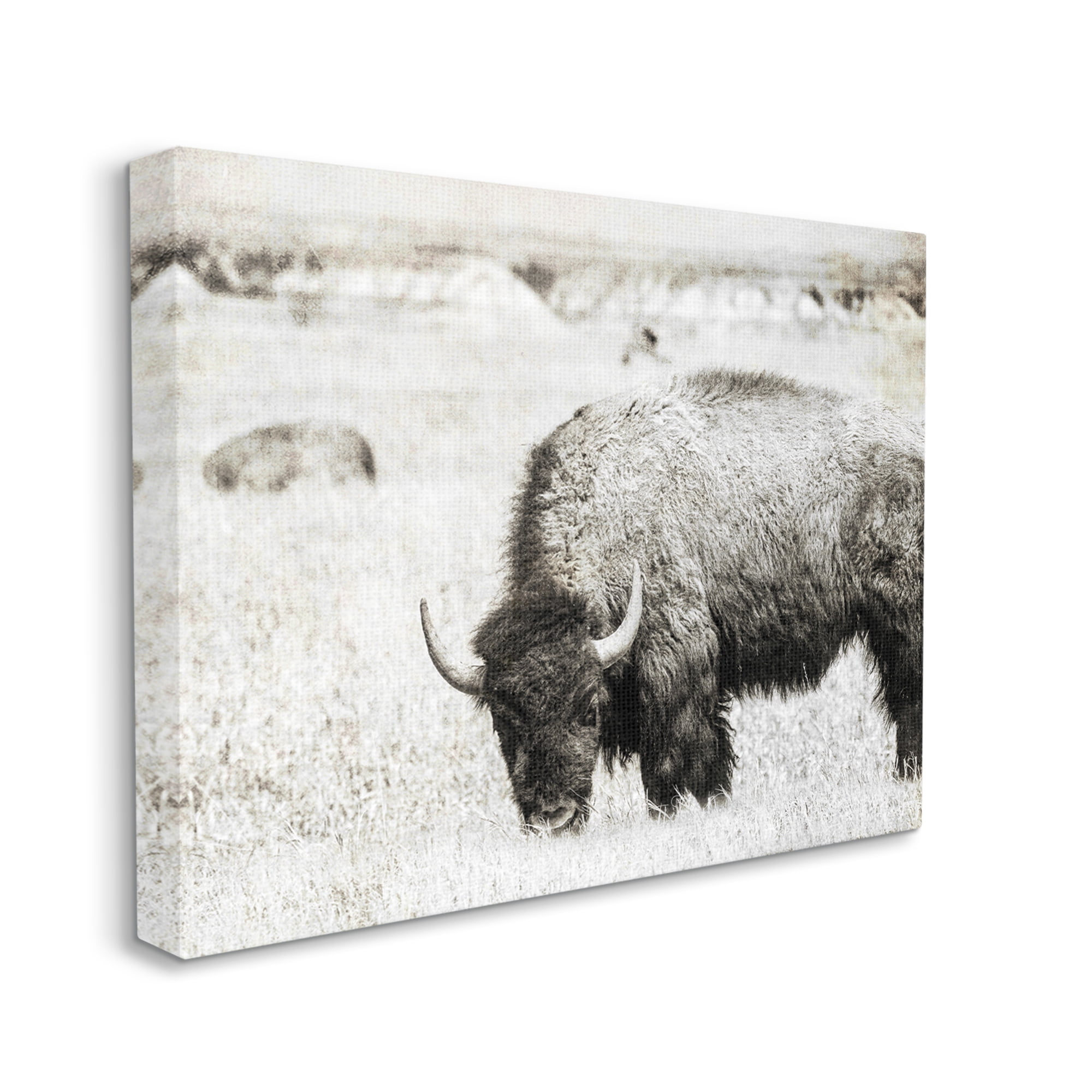 Stupell Industries Farmland Country Bison Bull Grazing Pasture Monochrome Canvas Wall Art, 40 x 30, Design by Daniel Sproul