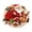 Multicolor 2, variant on Santa Claus Christmas Carpet, Holiday Accent Rug, Soft Decorative Floor Mat, Seasonal Table And Sofa Area Carpet For Living Room Bedroom Entryway Festive Home Decor