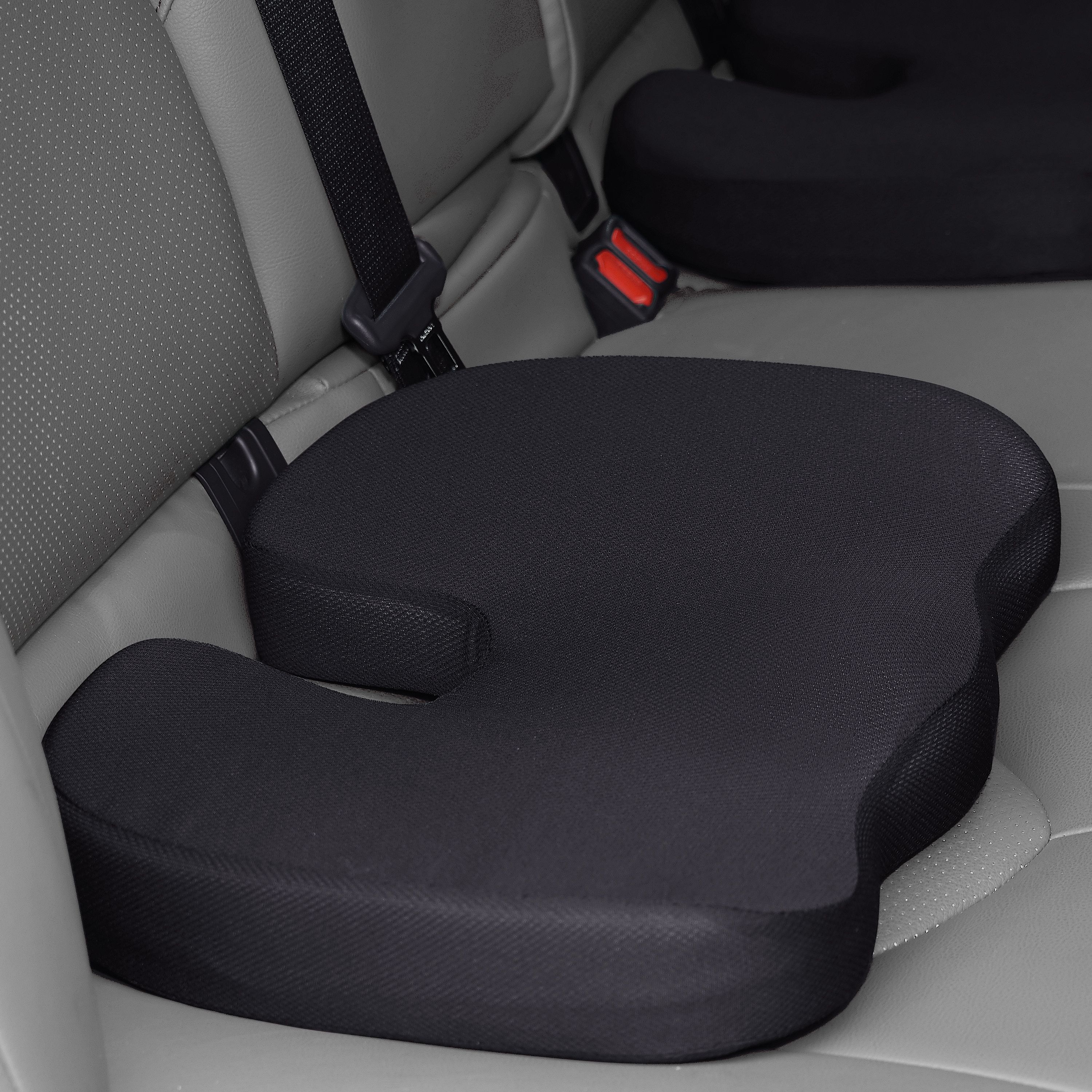 Fremont Die NCAA Fan Shop Lumbar Seat Cushion