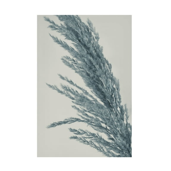 Canvas Wall Art - Heidi Westum 'Soft' Wall Art for Living Room, Bedroom, or Office Décor by Trademark Fine Art - 12 x 19 Inches