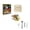B, variant on Mega Gemstone Dig Kit for users Includes Excavation Block with Gemstones Fossil Archaeology Tools Educational Science Discovery Tool Set