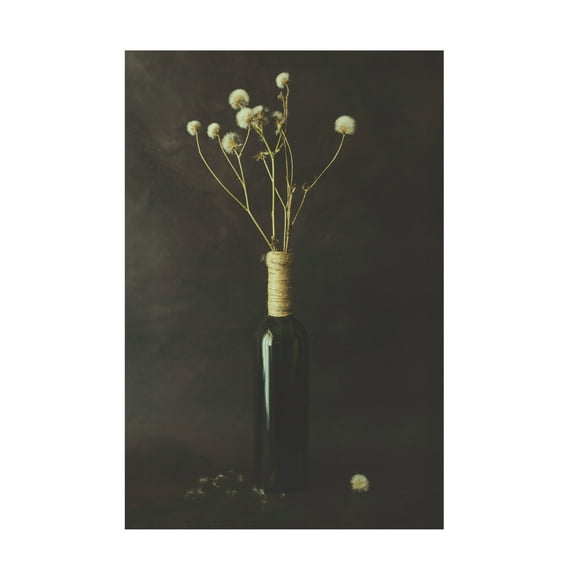 Canvas Wall Art - Cicek Kiral 'Pure' Wall Art for Living Room, Bedroom, or Office Décor by Trademark Fine Art - 12 x 19 Inches