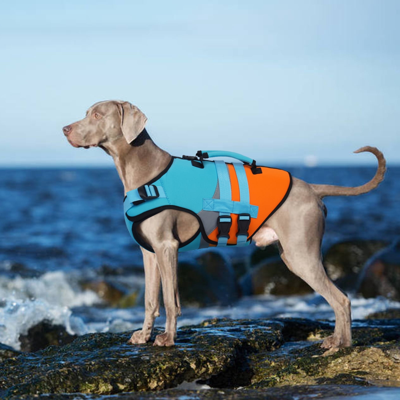 Kuoser Dog Life Jacket with Reflective Strips, Adjustable Life Vest for Small Medium Large Dogs, Blue, XL