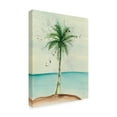 thumbnail image 2 of Trademark Fine Art 'African Oil Palm II' Canvas Art by Chris Paschke, 2 of 3