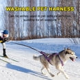thumbnail image 3 of Pebbuoy Reflective Dog Sledding Harness Thickened Soft Design Size Adjustable Double Protection Dog Chest Harness, 3 of 7