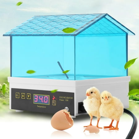 Tbest 4 Eggs Incubator Digital Automatic Incubator for Chicken Eggs Duck Goose Birds Hatcher,Egg hatcher Poultry Hatcher with Temperature (Best Incubator For Leopard Gecko Eggs)