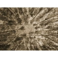 thumbnail image 2 of Lewis, Sheldon 24x19 White Modern Wood Framed Museum Art Print Titled - Up Into The Woods 2, 2 of 4