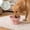 Pink935, variant on Tuvgenk Dog Bowl Cat Bowl Slow Feeder Raised Neck Support Stable Base Slant Design Reduce Gulping Comfort Posture for Daily Pet Feeding