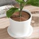 thumbnail image 4 of Maceta hueca protectora para suelo, recortable, con clavos, para uso en plantas de jardín en casa, tamaño mediano, redonda, color café, 4 of 5
