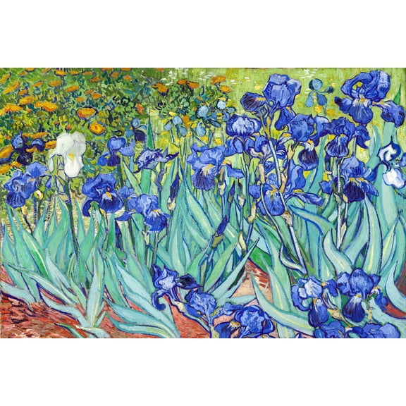 24x36 gallery poster, Irises, May 1889 by Vincent van Gogh