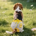 thumbnail image 3 of Pantalons d'Hygiène pour Chiens et Chiots Confortables pour Usage Intérieur, 3 of 3